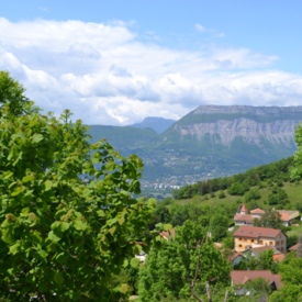Commune de Venon